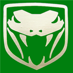 The Viper Coalition Cadet Corps