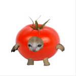 nomiee's store