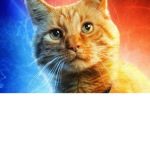 Cat Powerrrrr