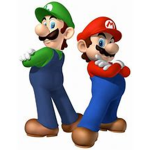 The Mario And Luigi Madness