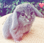 My Group (O—O