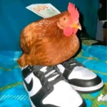 chicken managment group