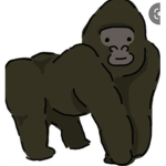 Herd of gorillas