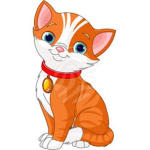 Catz for Lyfe!