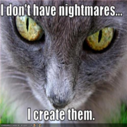 Funny cat Roblox decal