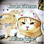 Coals kittens