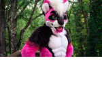 UwU furry