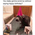 Not cool kids :((