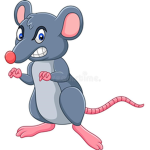 Blossom Rat