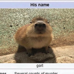 several counts of murder
