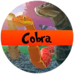 Cobra Class