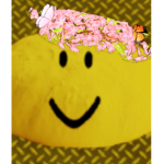 Poptart Roblox