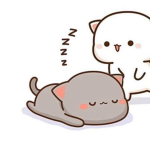 —-Cute Nation—-