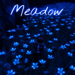 Meadow Night🌙