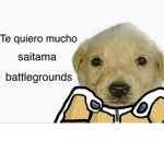 Insanitos del saitama
