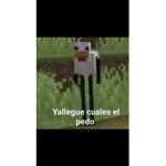 Clan d