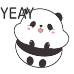 Cute Panda Group!!!