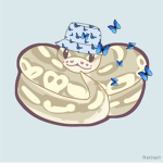 I’m Ashley with a python