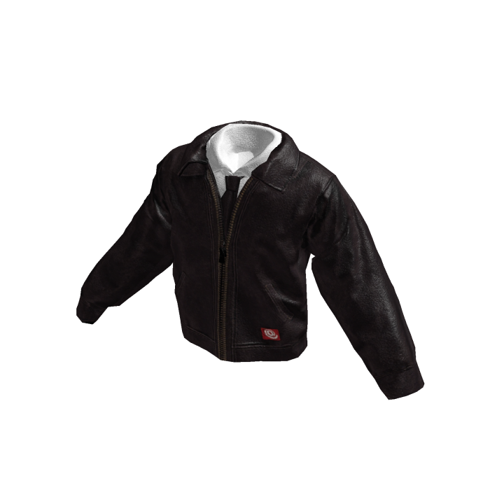 Dark Brown Leather Jacket with Polo