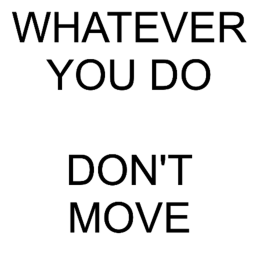 DON'T MOVE