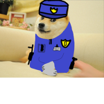 Doge's Security Division