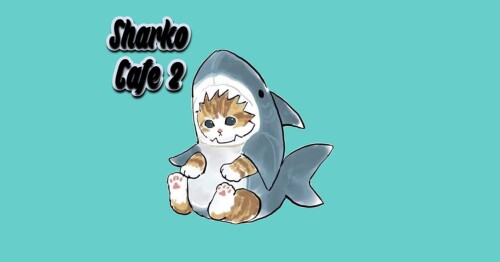 Sharko Cafe 2