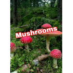 ×•Mushrooms•×