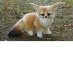 Animal Luvers <3 <3 <3 <3 <3 <3 <3 <3 <3 <3