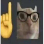 Grizzco