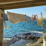 . ˚ ❀ . ✧༉˚ .