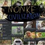 civilization of monkeys