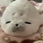 seal lullaby. Group Thumbnail
