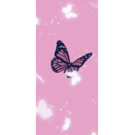 The butteryfly group