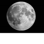 Moon Hotel's
