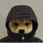 내가 제일 잘 나가~
