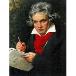 Classical Music Fans