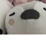 보송보송