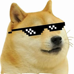 DOGE WARS (christmas!!!)