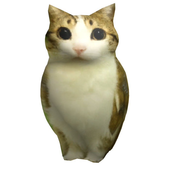 Cat Owl Meme