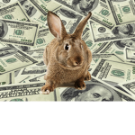 Bunny's Funds Group Thumbnail