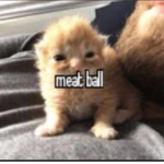 CÜLTS