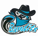 Blue Bandits Of Downfall
