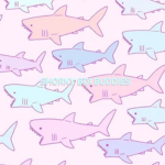 ShorkyBoiBuddies