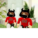 Shirts Place