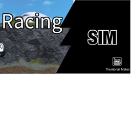 Racing Simulator