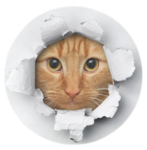 Meowster's