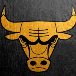 [DBL] CHi Bulls Facility