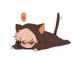 kitten moons