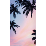 Lyla_Sloths