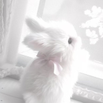 - #ħễävễٍñ